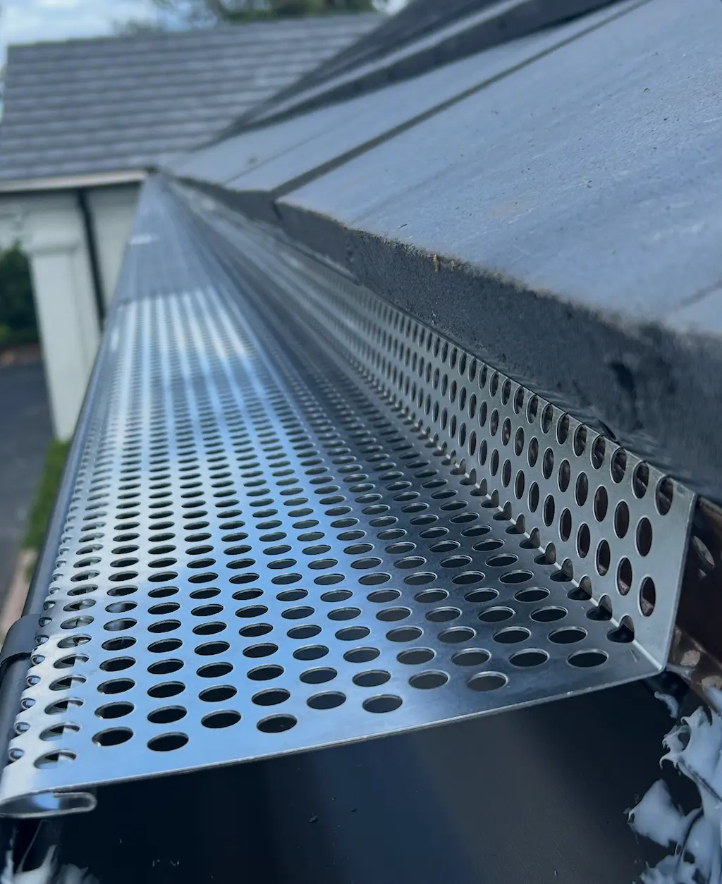 Perforated Leaf Guard System